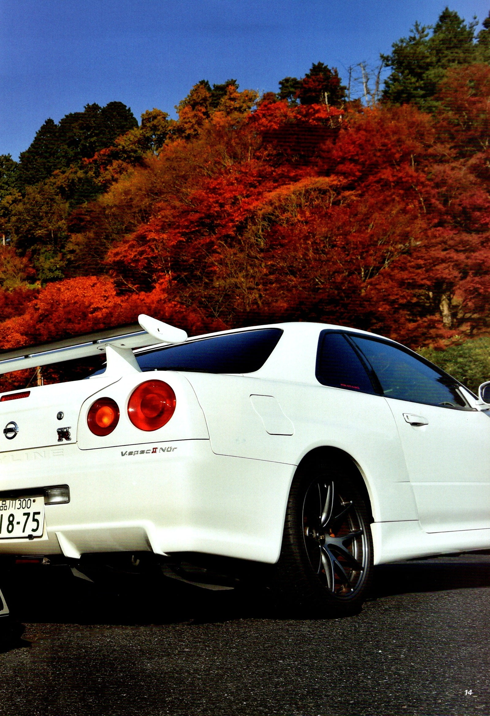 NISSAN r34 collection  from Japan (8X11)-SINGLE