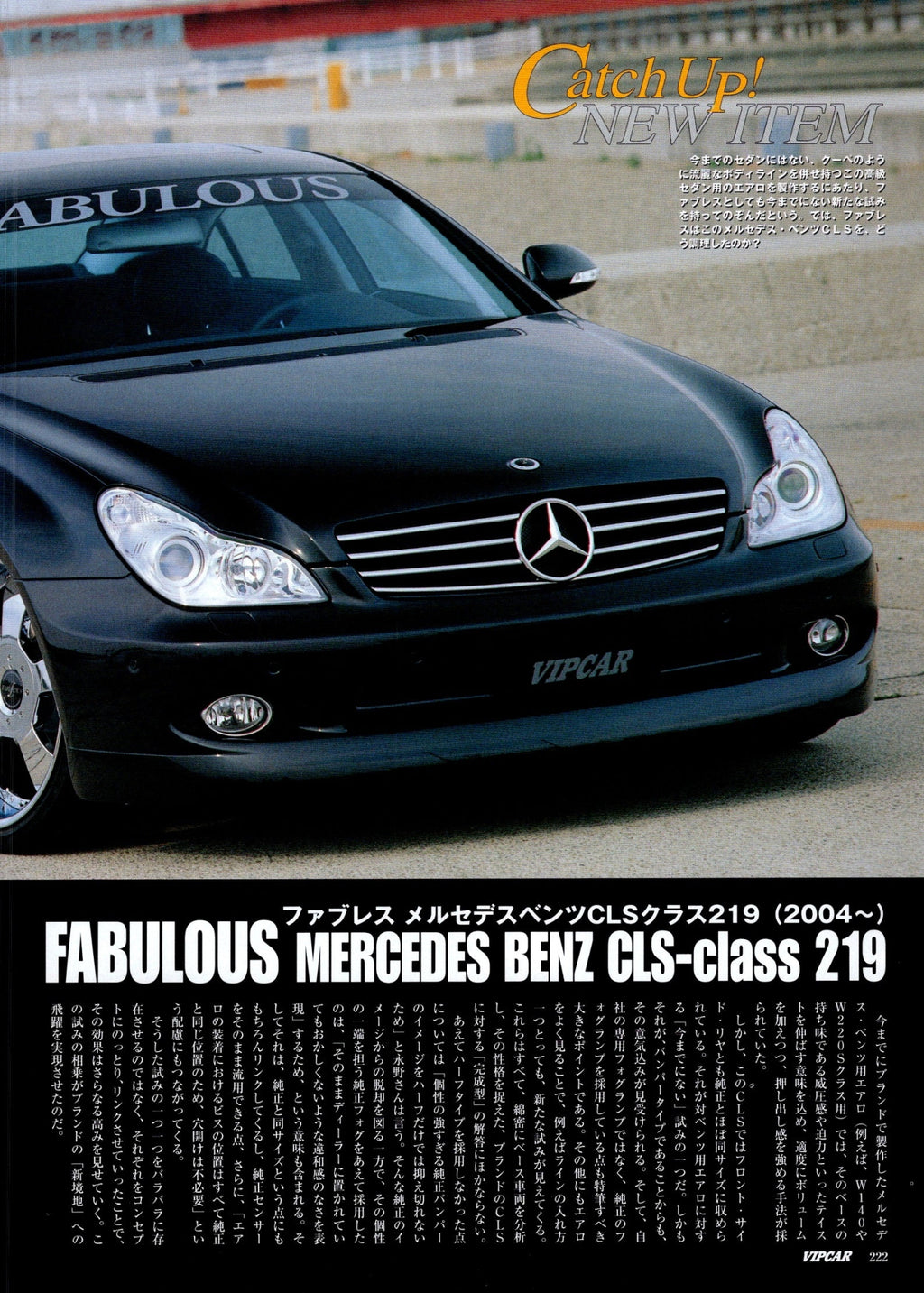 VIP MERCEDES CLS CLASS W219  collection from Japan (16x11)-SET