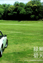 911 CARRERA vintage collection From Japan (16X11)SET