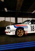 BMW E30 M3 PERFORMANCE collection (16X11)SET
