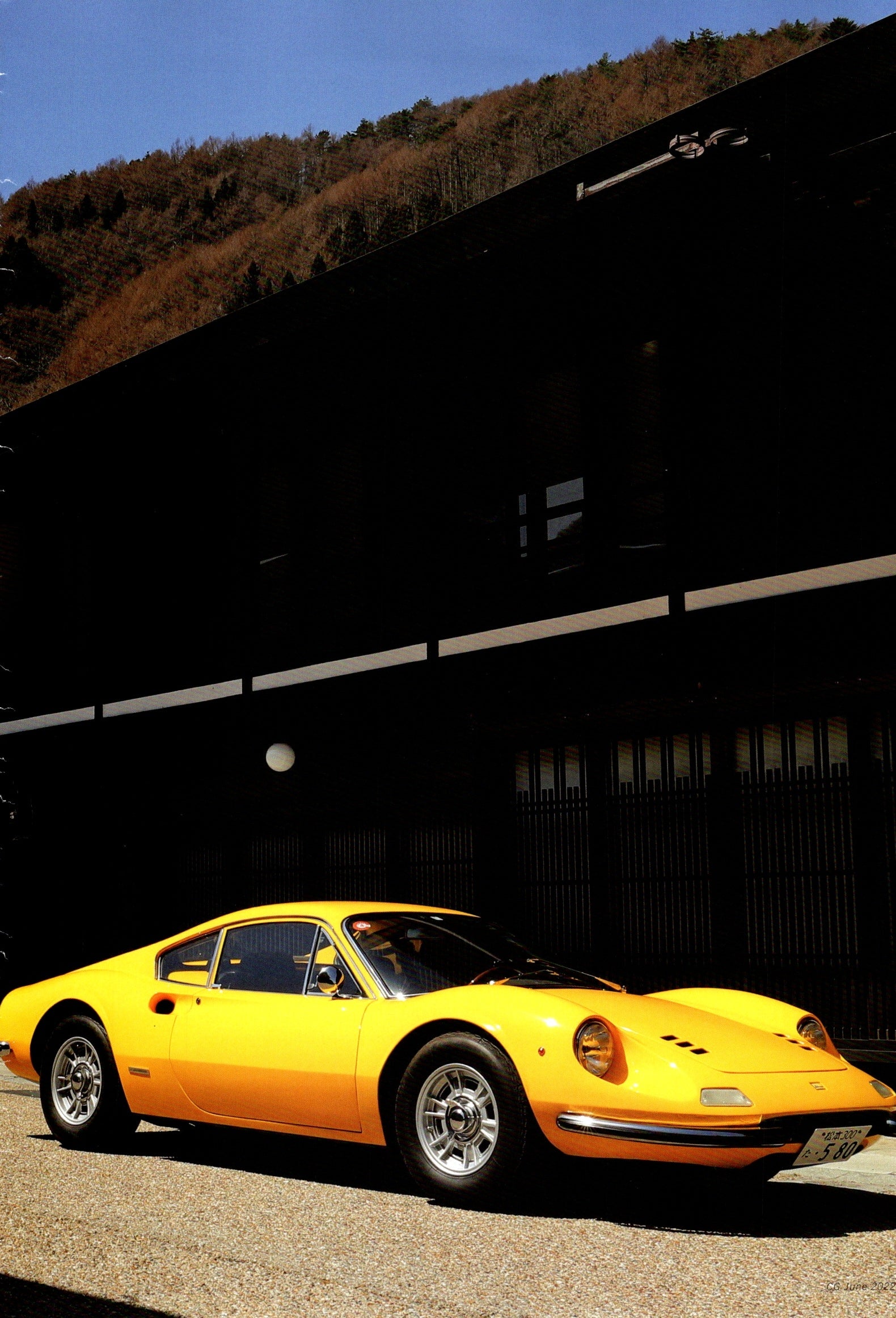 DINO 246 GT collection From Japan (16X11)- SET