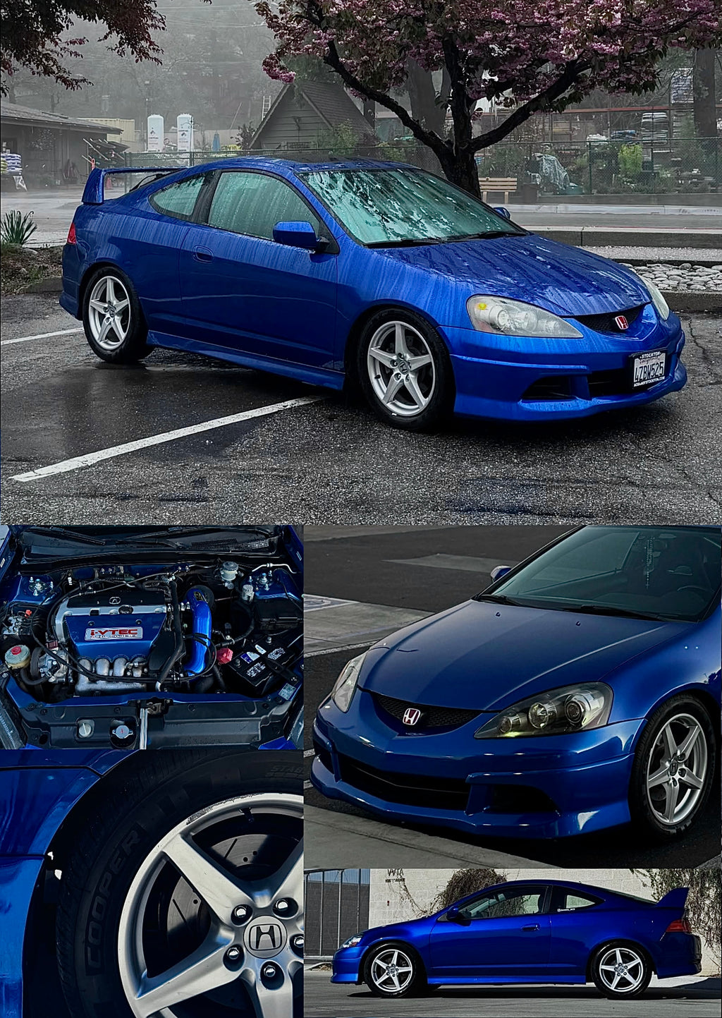 COLLAGE THEME